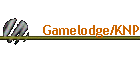 Gamelodge/KNP